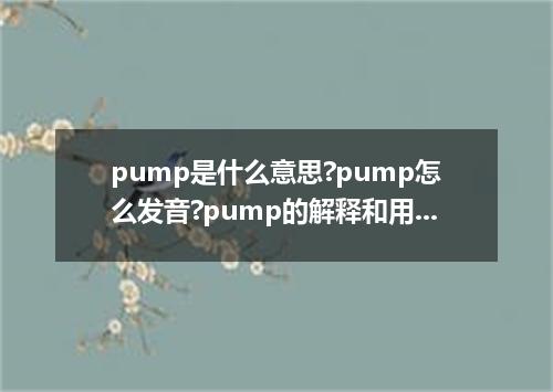 pump是什么意思?pump怎么发音?pump的解释和用法