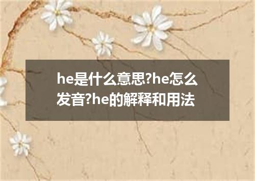 he是什么意思?he怎么发音?he的解释和用法