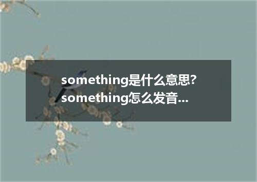 something是什么意思?something怎么发音?something的解释和用法
