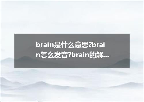 brain是什么意思?brain怎么发音?brain的解释和用法