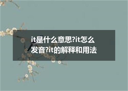 it是什么意思?it怎么发音?it的解释和用法