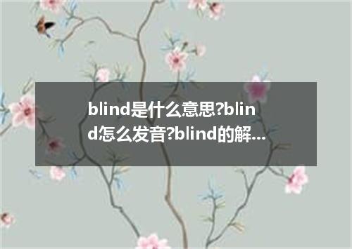 blind是什么意思?blind怎么发音?blind的解释和用法