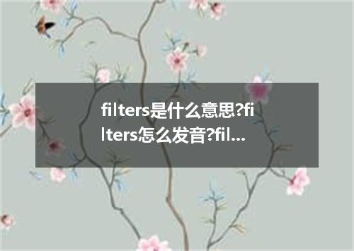 filters是什么意思?filters怎么发音?filters的解释和用法
