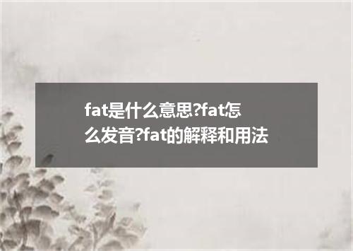 fat是什么意思?fat怎么发音?fat的解释和用法