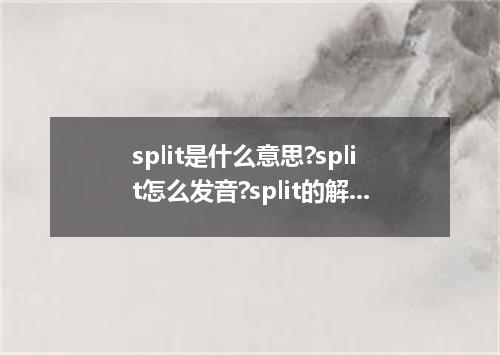 split是什么意思?split怎么发音?split的解释和用法