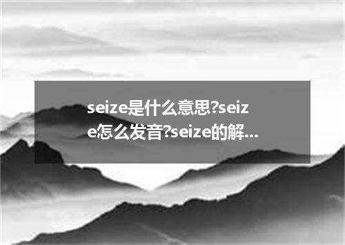 seize是什么意思?seize怎么发音?seize的解释和用法
