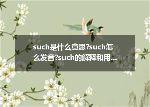 such是什么意思?such怎么发音?such的解释和用法