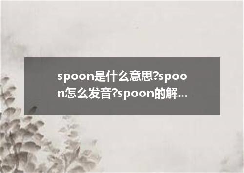 spoon是什么意思?spoon怎么发音?spoon的解释和用法