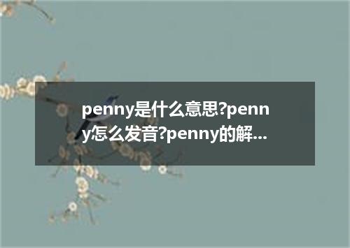 penny是什么意思?penny怎么发音?penny的解释和用法