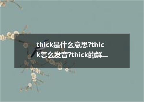 thick是什么意思?thick怎么发音?thick的解释和用法