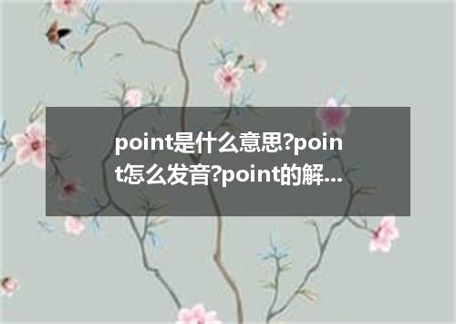 point是什么意思?point怎么发音?point的解释和用法
