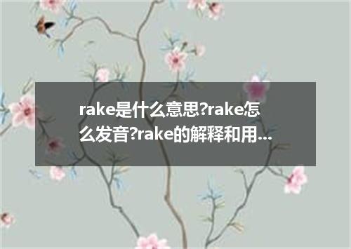 rake是什么意思?rake怎么发音?rake的解释和用法
