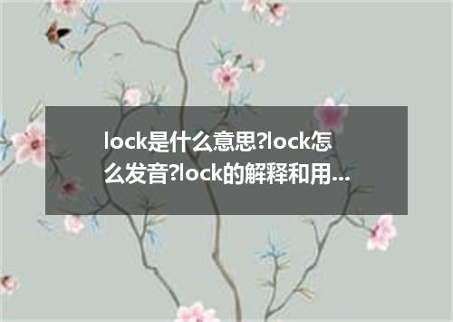 lock是什么意思?lock怎么发音?lock的解释和用法
