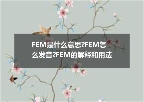 FEM是什么意思?FEM怎么发音?FEM的解释和用法