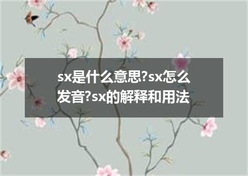 sx是什么意思?sx怎么发音?sx的解释和用法