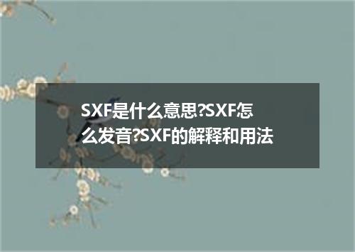 SXF是什么意思?SXF怎么发音?SXF的解释和用法