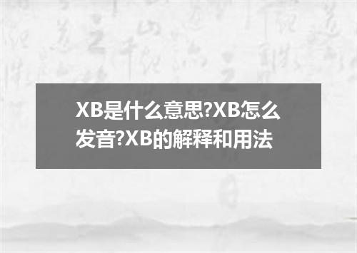 XB是什么意思?XB怎么发音?XB的解释和用法