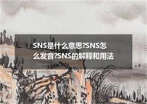 SNS是什么意思?SNS怎么发音?SNS的解释和用法