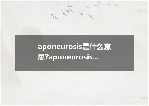 aponeurosis是什么意思?aponeurosis怎么发音?aponeurosis的解释和用法