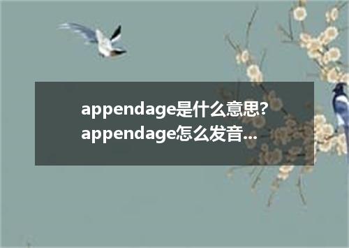 appendage是什么意思?appendage怎么发音?appendage的解释和用法