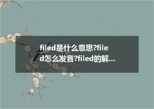 filed是什么意思?filed怎么发音?filed的解释和用法