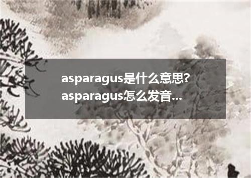 asparagus是什么意思?asparagus怎么发音?asparagus的解释和用法