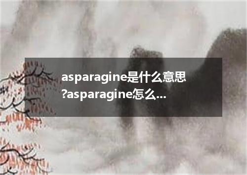 asparagine是什么意思?asparagine怎么发音?asparagine的解释和用法