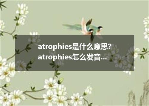 atrophies是什么意思?atrophies怎么发音?atrophies的解释和用法