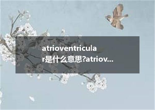 atrioventricular是什么意思?atrioventricular怎么发音?atrioventricular的解释和用法