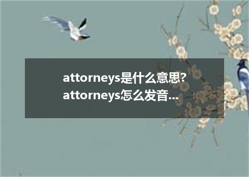attorneys是什么意思?attorneys怎么发音?attorneys的解释和用法