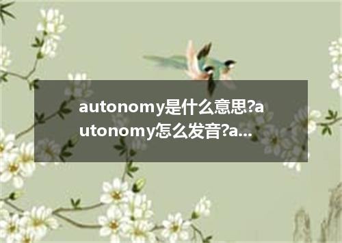 autonomy是什么意思?autonomy怎么发音?autonomy的解释和用法