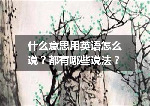 什么意思用英语怎么说?都有哪些说法?