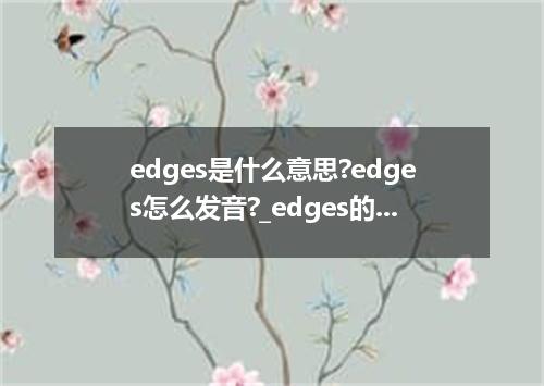 edges是什么意思?edges怎么发音?_edges的用法
