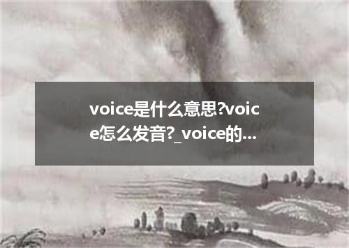 voice是什么意思?voice怎么发音?_voice的用法