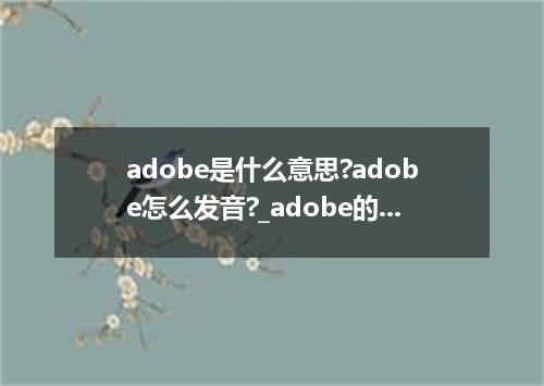 adobe是什么意思?adobe怎么发音?_adobe的用法