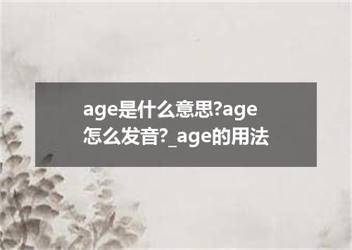 age是什么意思?age怎么发音?_age的用法