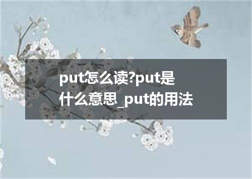 put怎么读?put是什么意思_put的用法