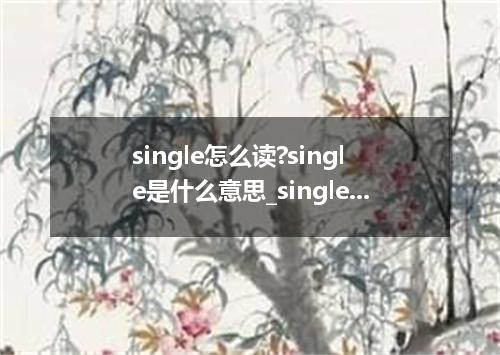 single怎么读?single是什么意思_single的用法