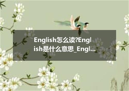 English怎么读?English是什么意思_English的用法