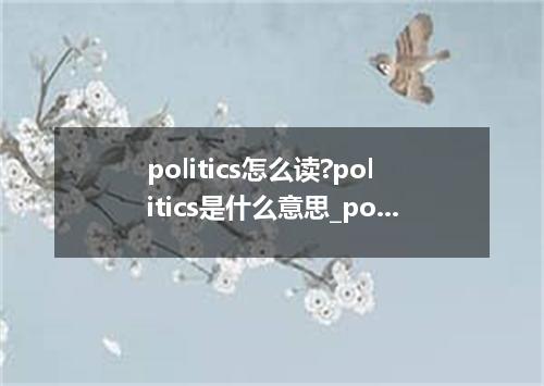politics怎么读?politics是什么意思_politics的用法