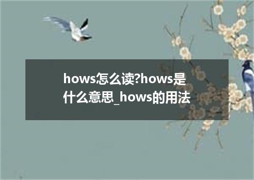 hows怎么读?hows是什么意思_hows的用法