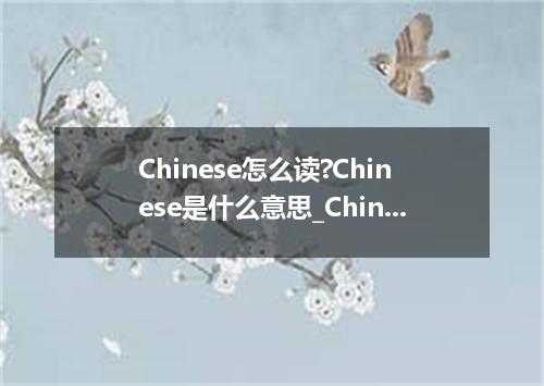 Chinese怎么读?Chinese是什么意思_Chinese的用法