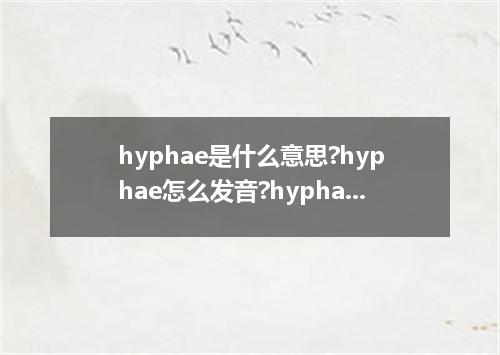 hyphae是什么意思?hyphae怎么发音?hyphae的解释和用法