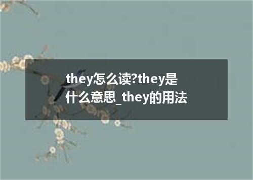 they怎么读?they是什么意思_they的用法