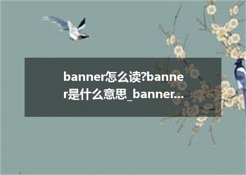 banner怎么读?banner是什么意思_banner的用法
