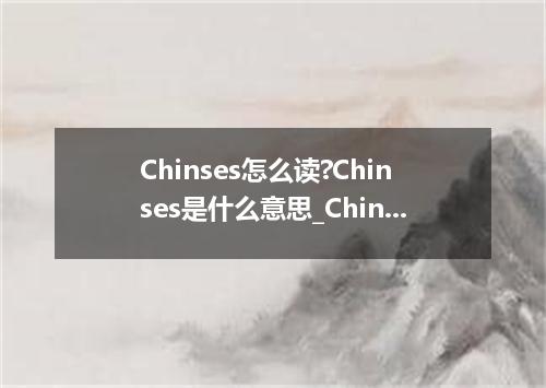 Chinses怎么读?Chinses是什么意思_Chinses的用法