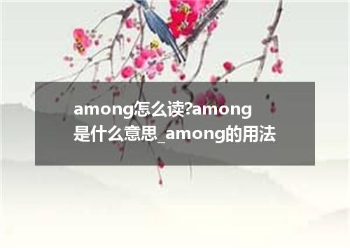 among怎么读?among是什么意思_among的用法
