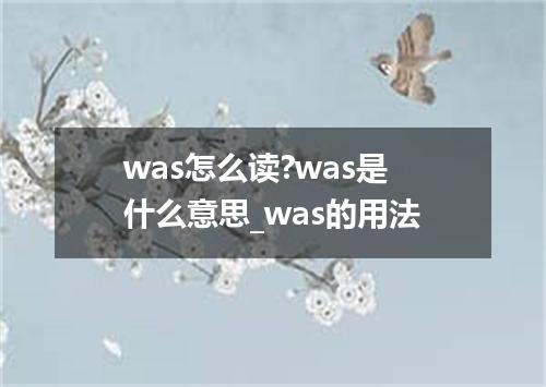 was怎么读?was是什么意思_was的用法