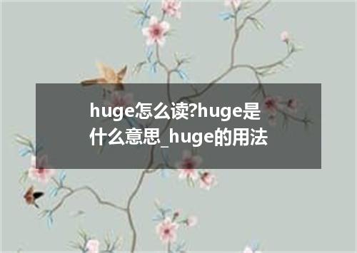 huge怎么读?huge是什么意思_huge的用法