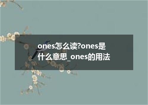 ones怎么读?ones是什么意思_ones的用法
